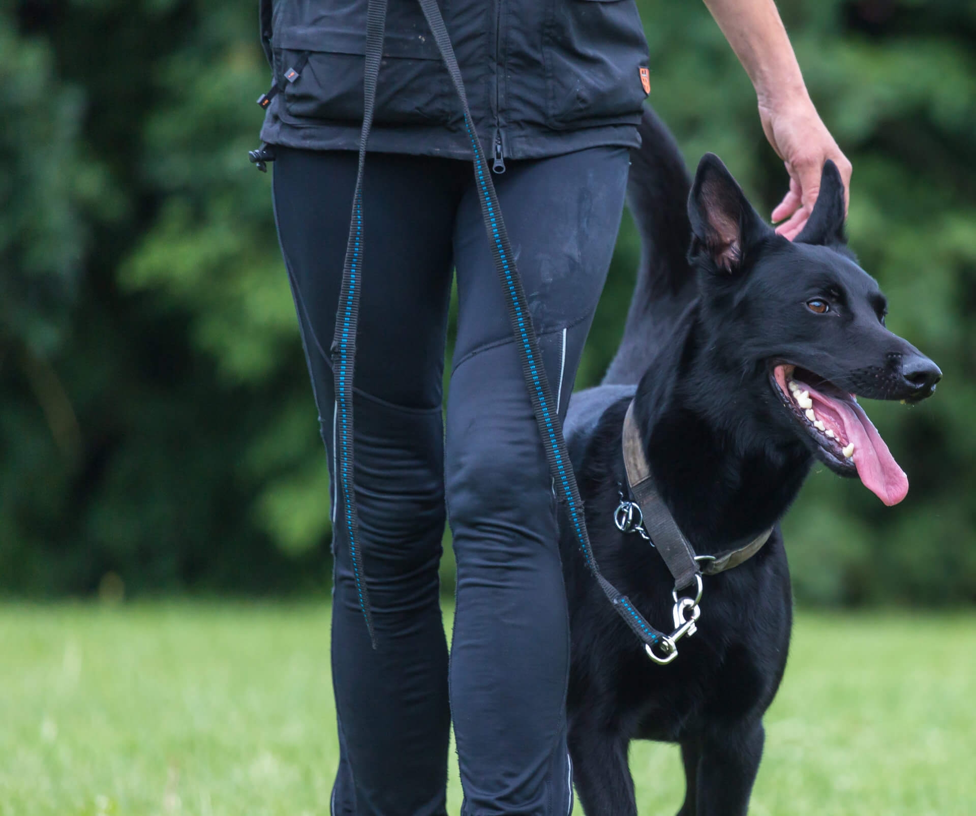 Pflegemittel für Hundesportbekleidung