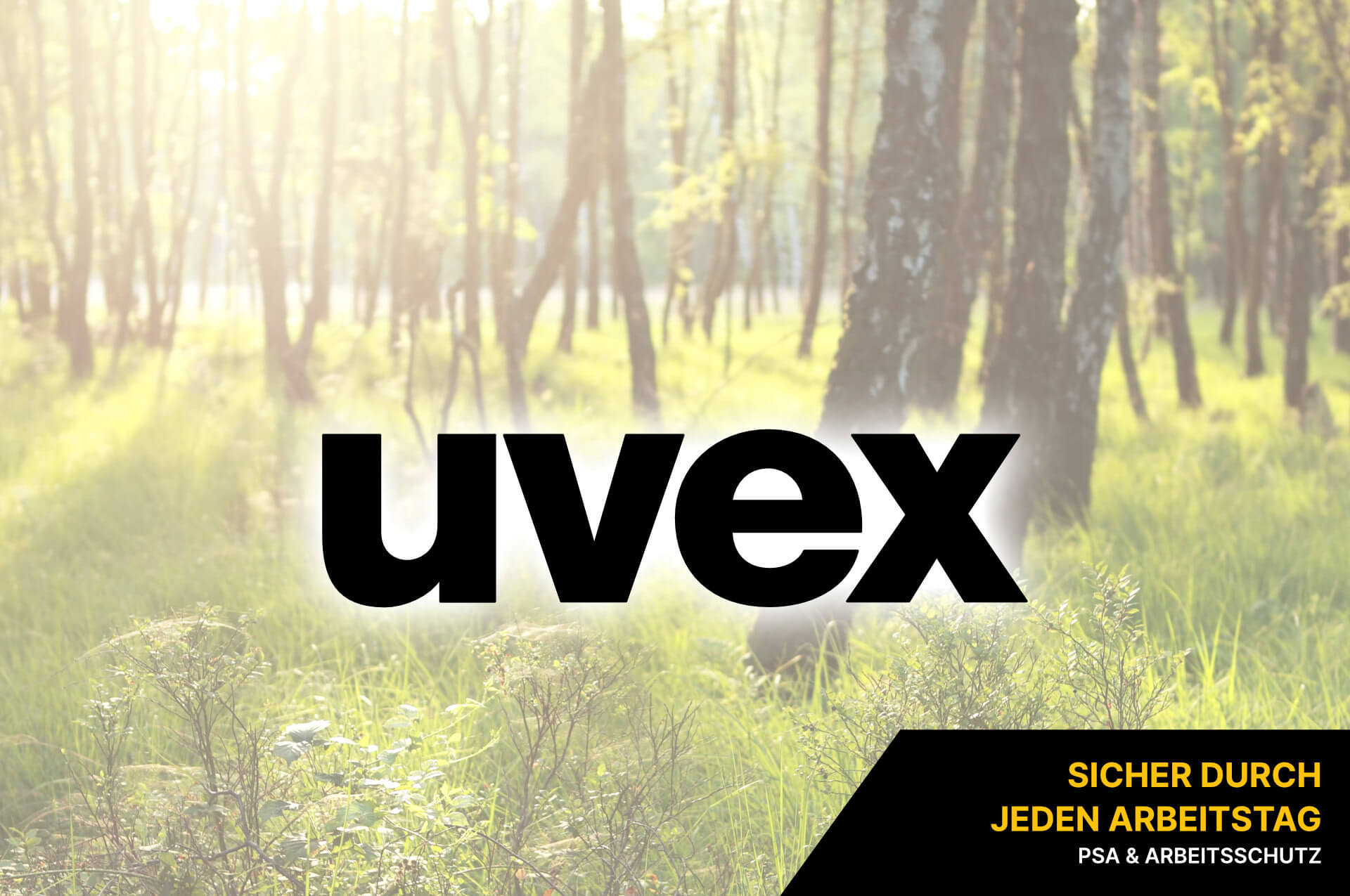 uvex