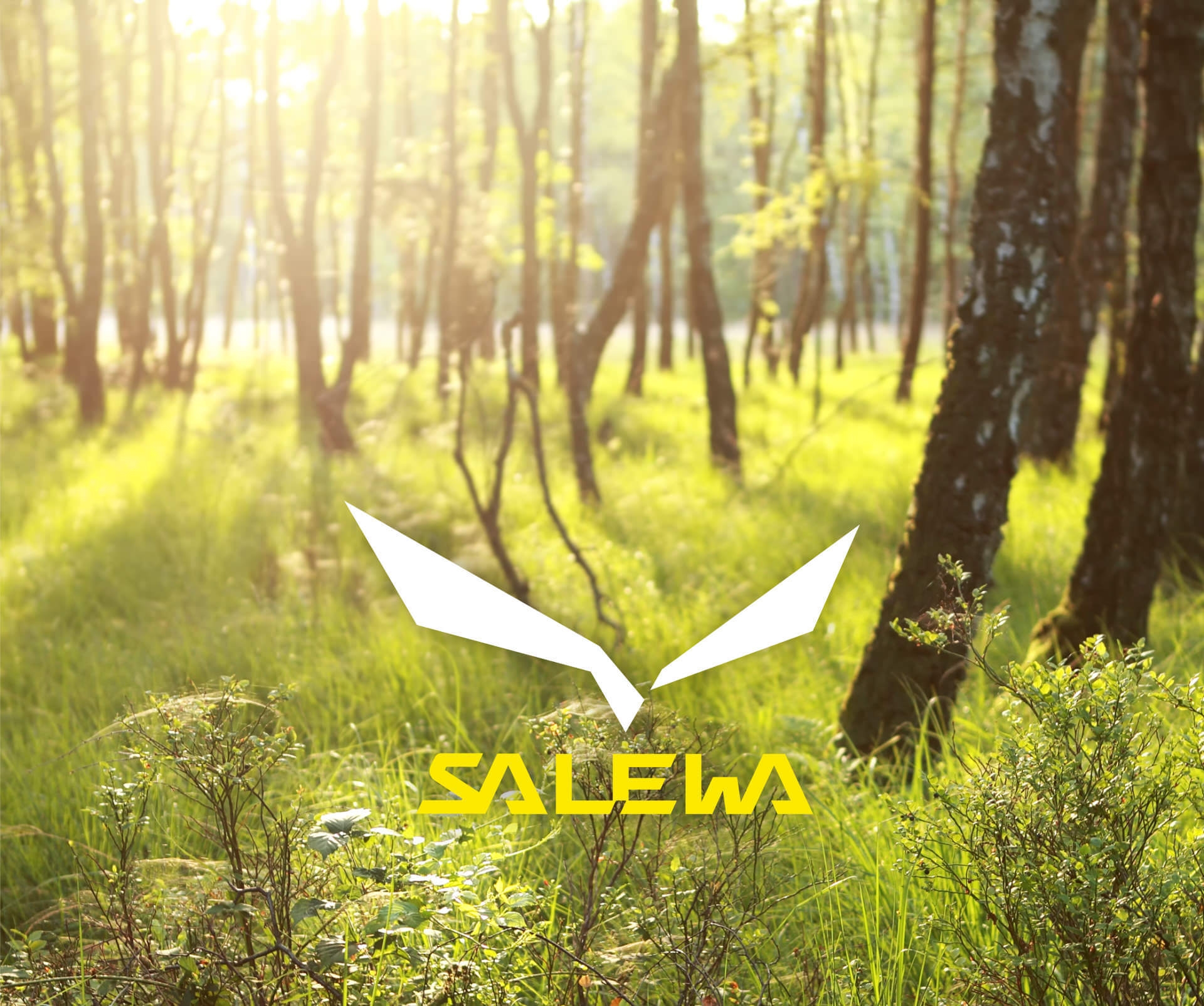 Salewa