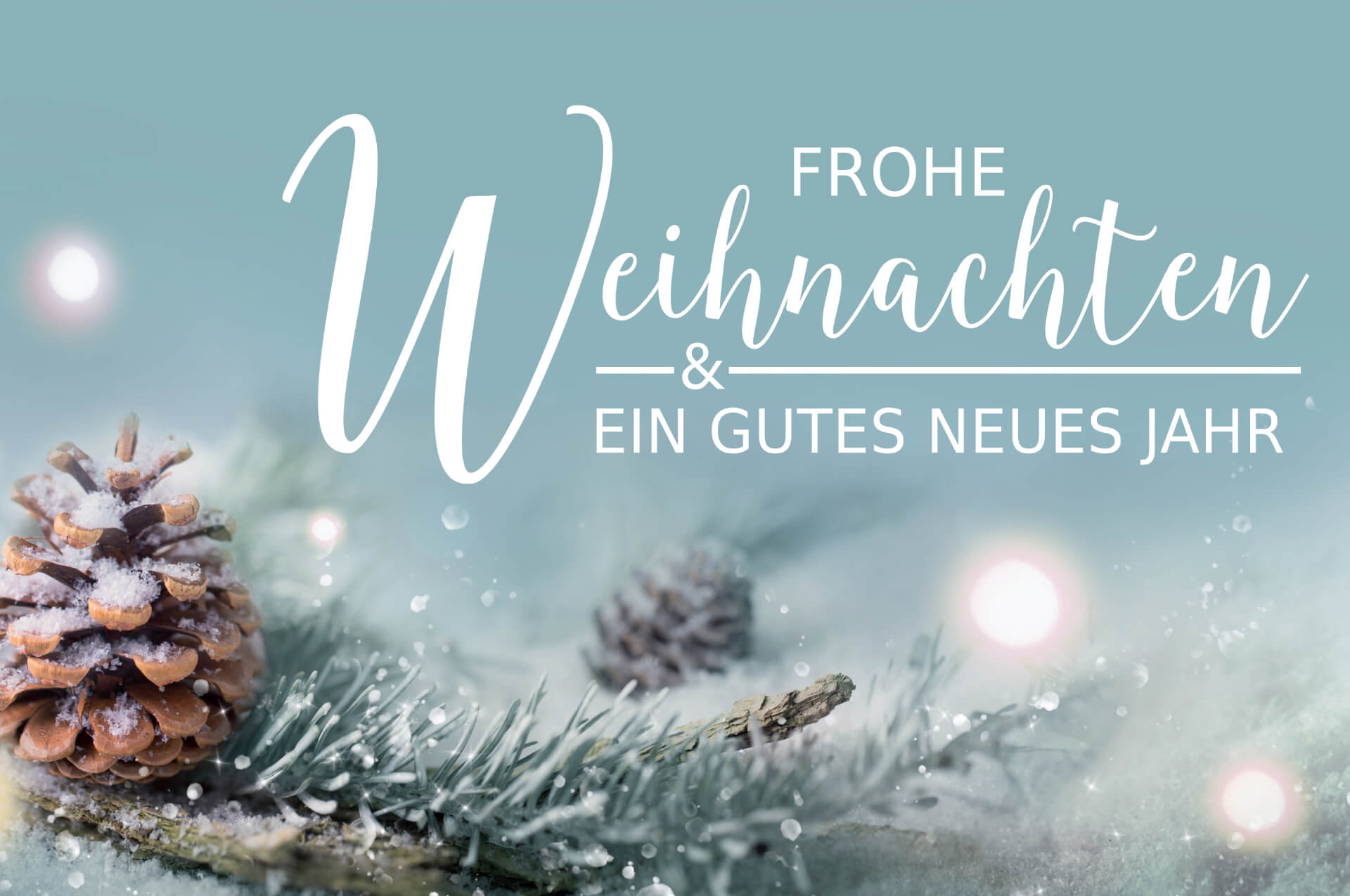 Jahresrückblick 2022 & Frohe Weihnachten