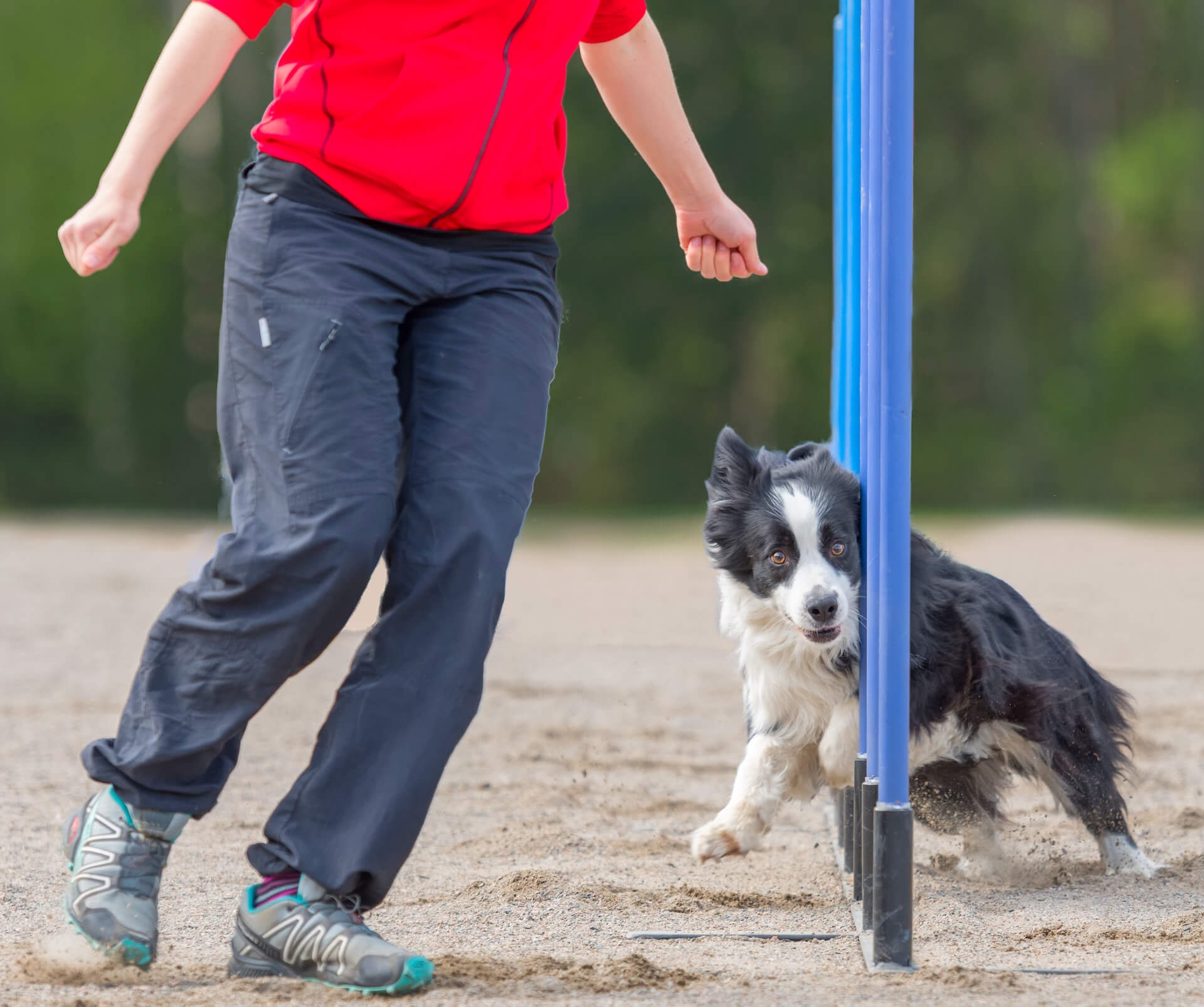 Hundesportschuhe