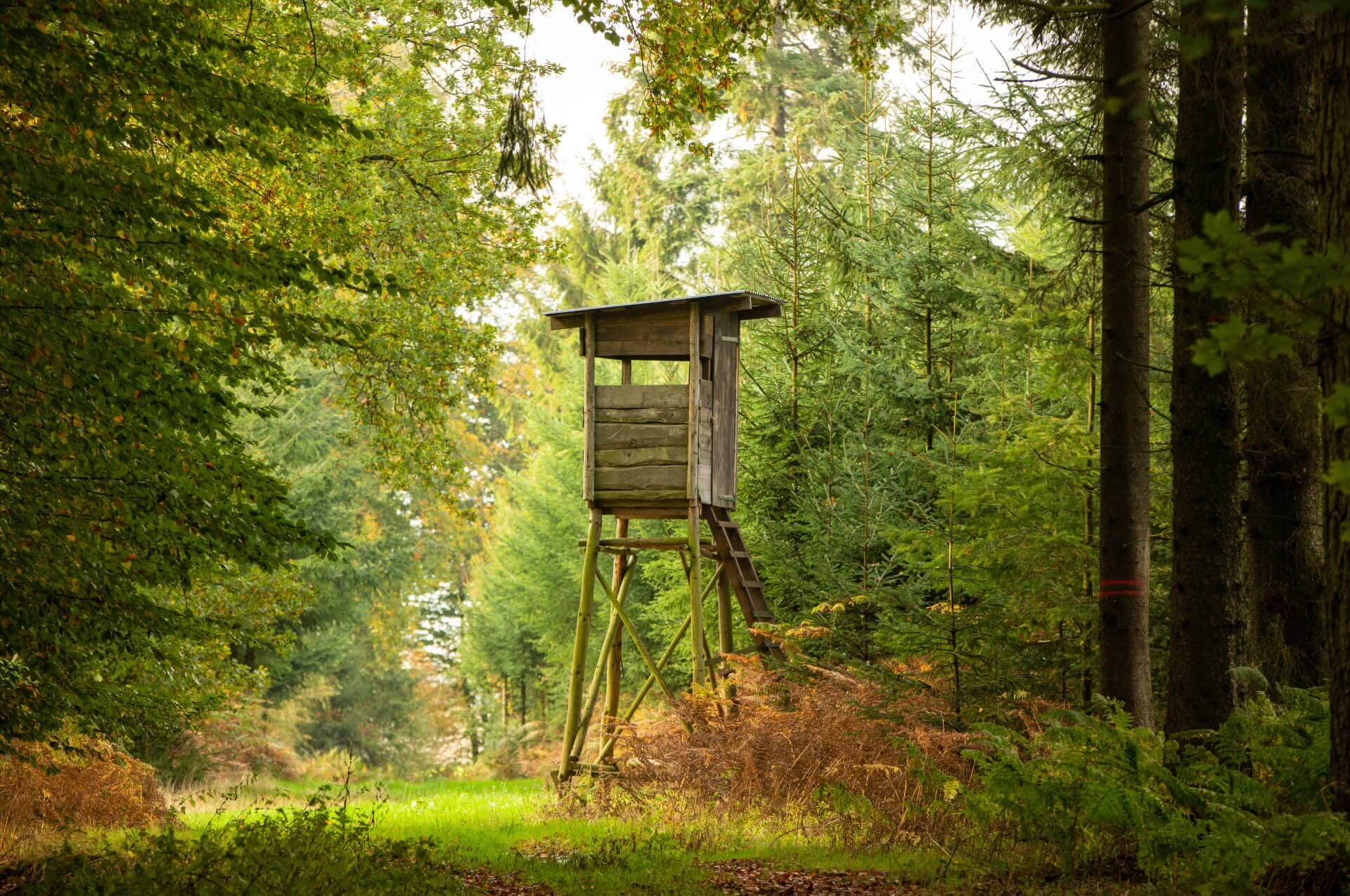Revierarbeiten im Herbst