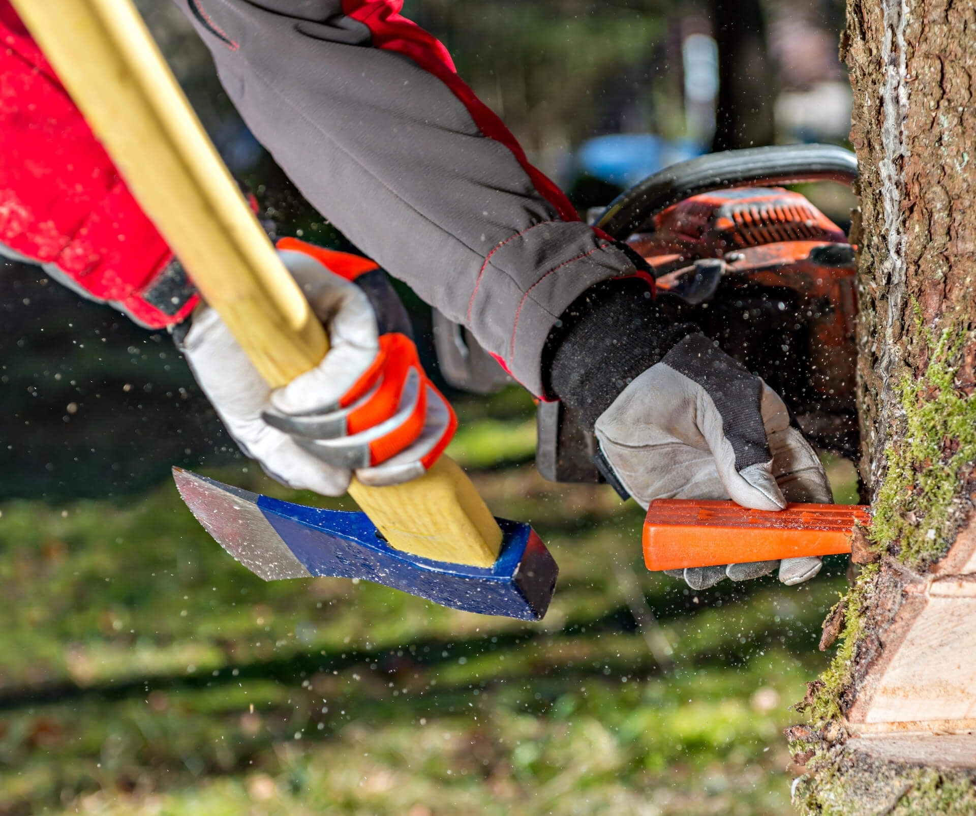 Forsthandschuhe und Unterarm Schnittschutz