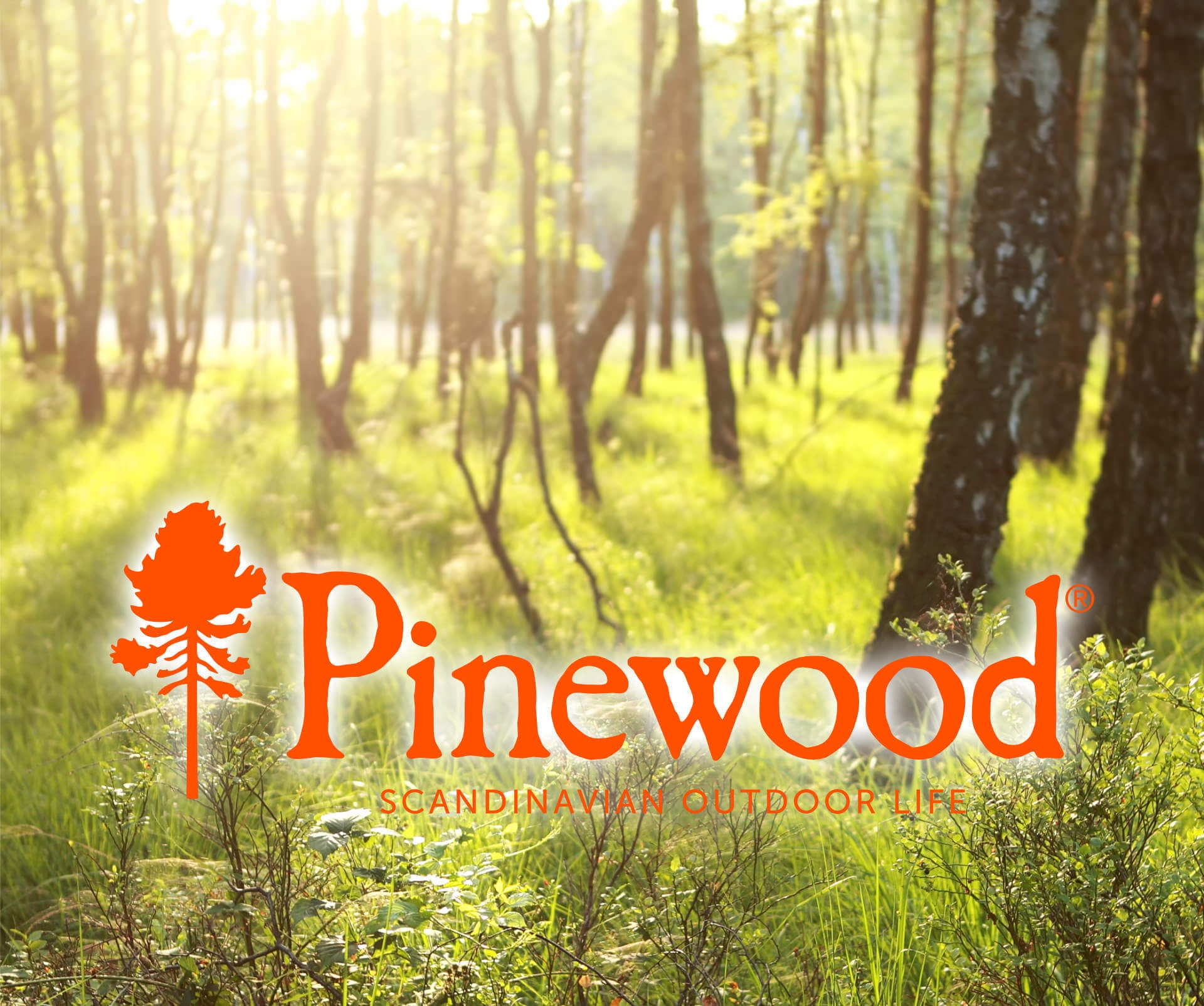 Pinewood