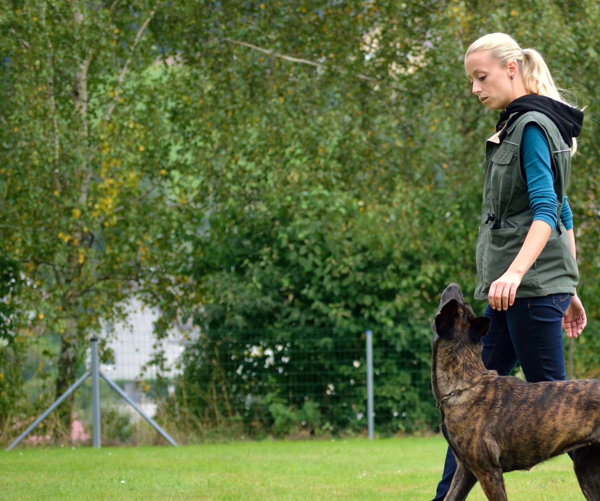 Hundesport Westen