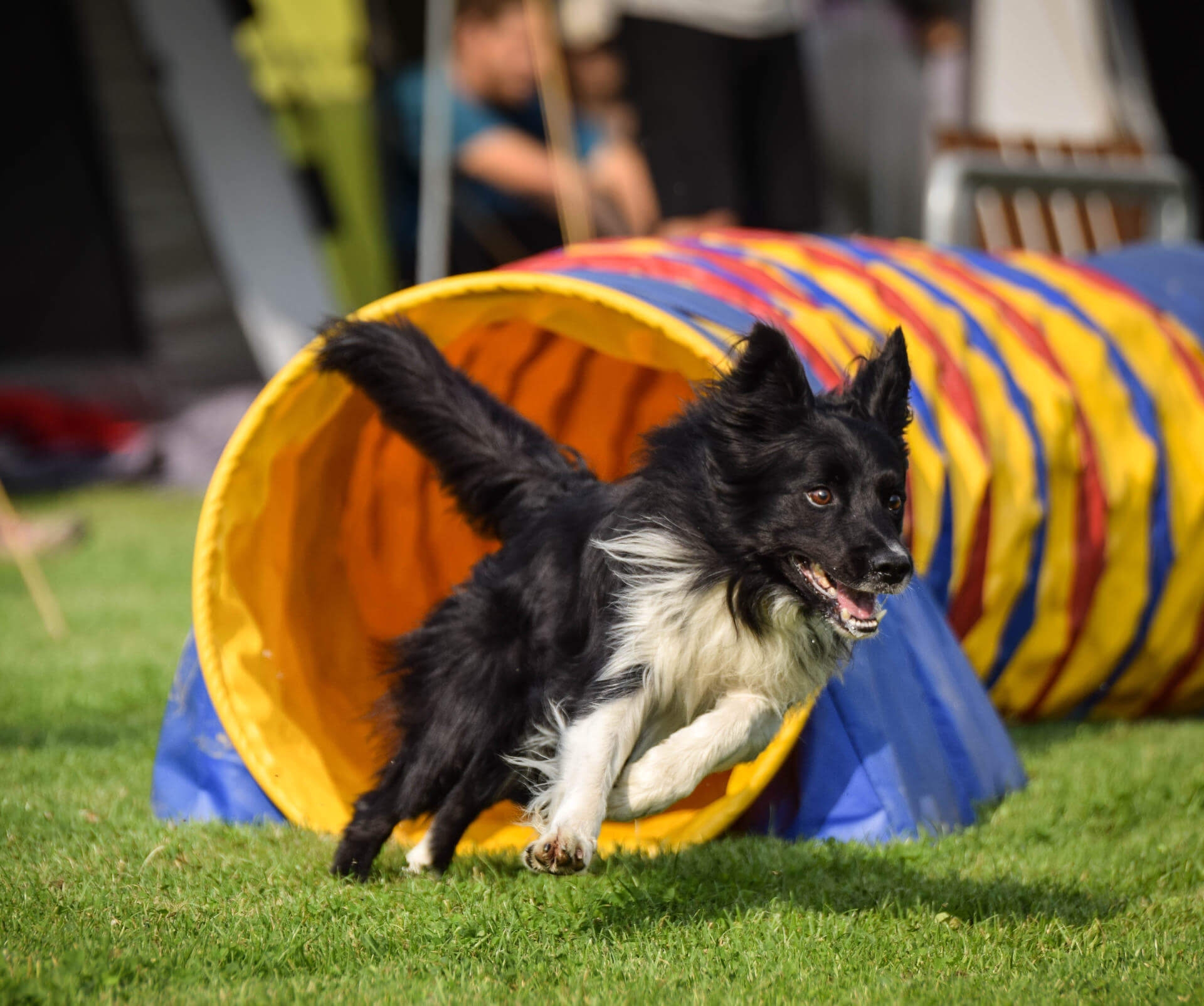 Hundesport Jacken