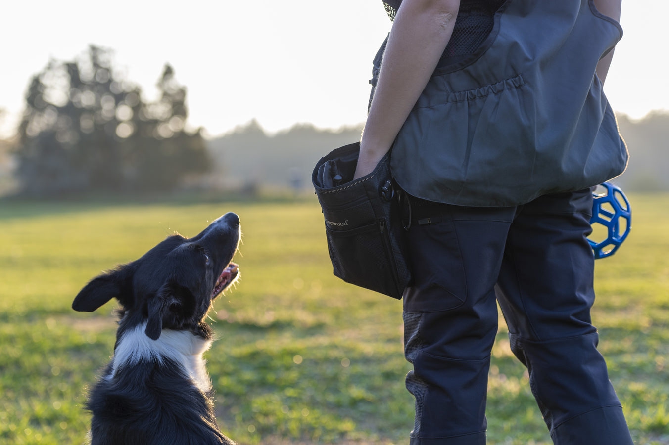 Pinewood® Dogsport Bag Small