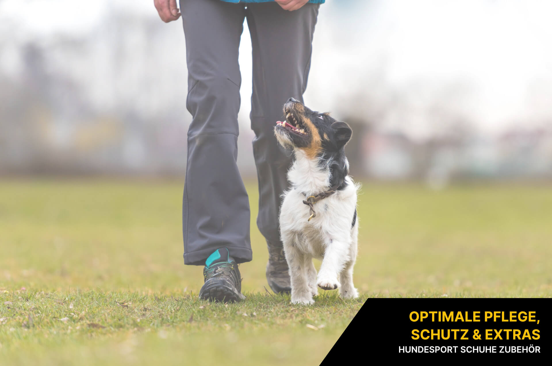 Hundesport Schuhe Zubehör