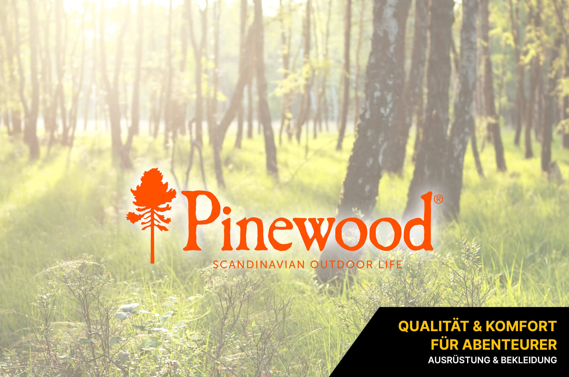 Pinewood