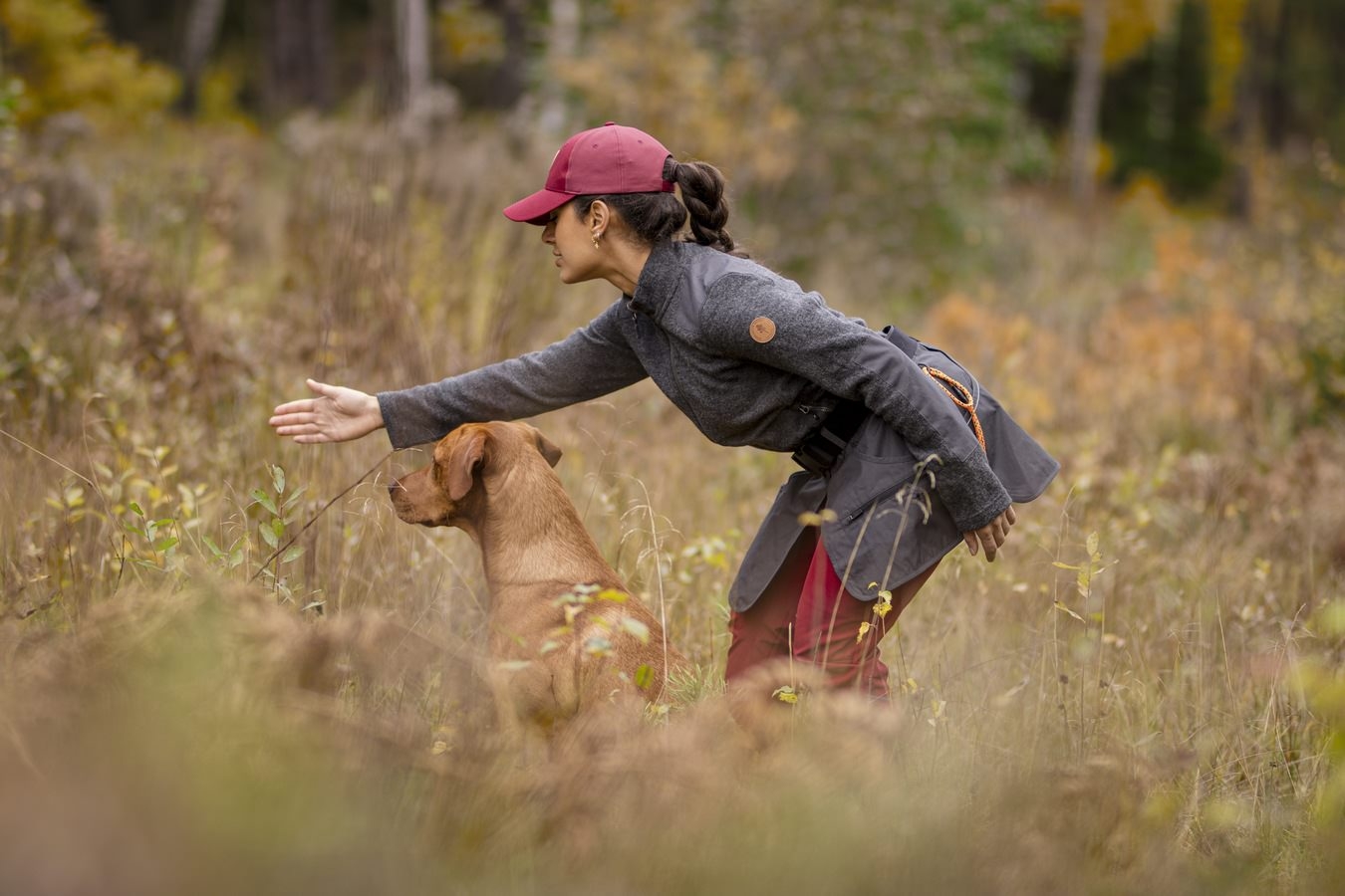 Pinewood® Dog Sports Waistbelt