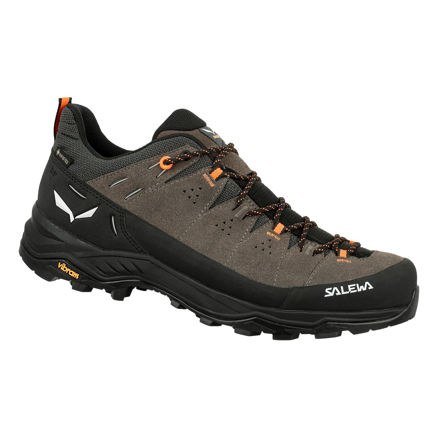 Salewa Alp Trainer 2 Gore-Tex® Herrenschuh