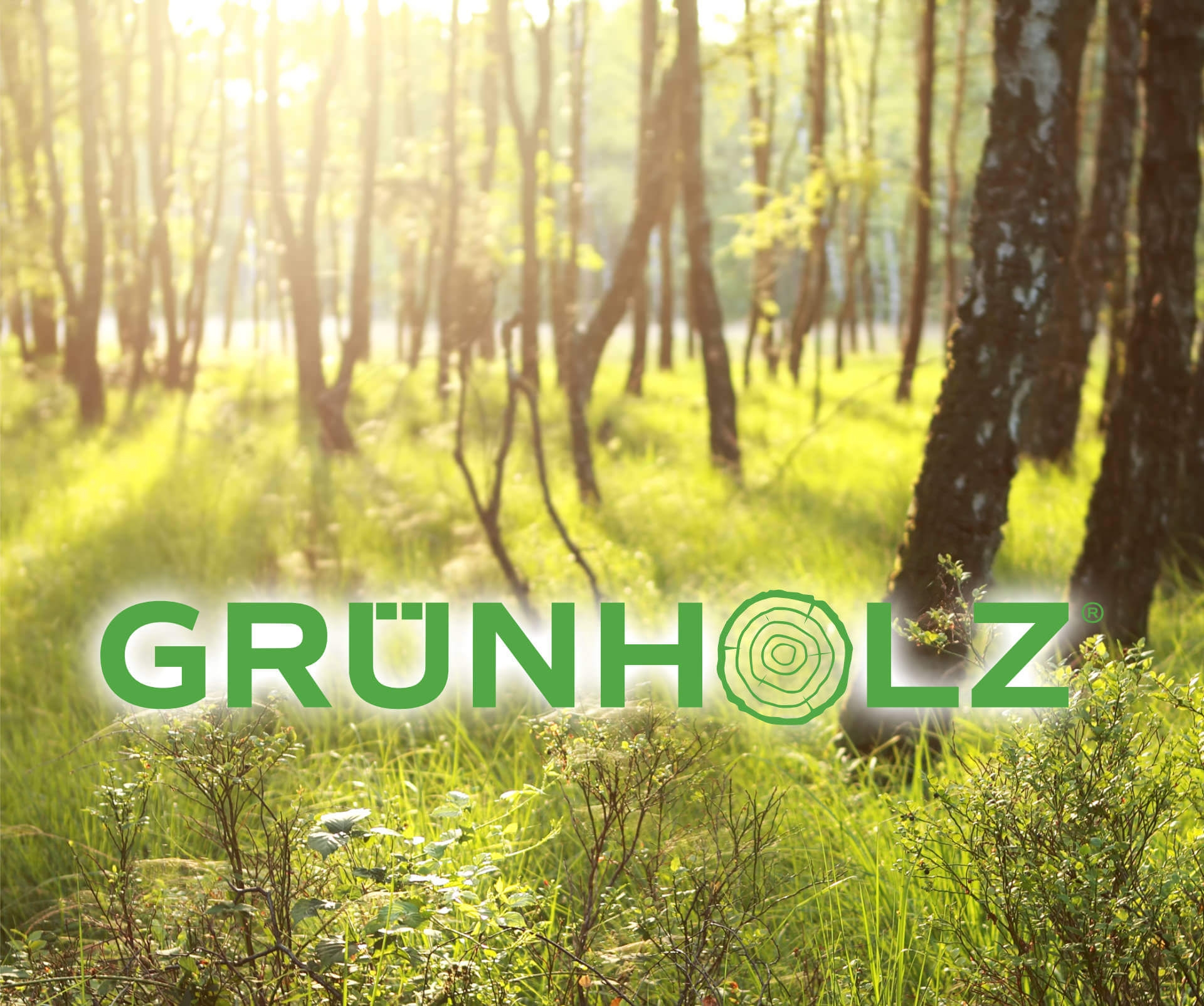 Grünholz