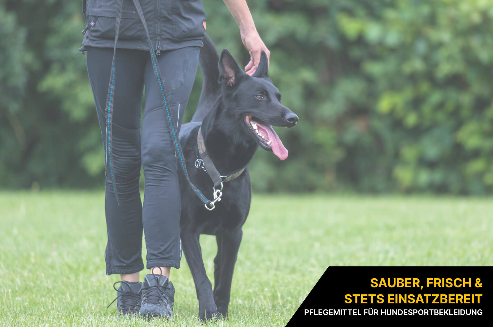 Pflegemittel für Hundesportbekleidung