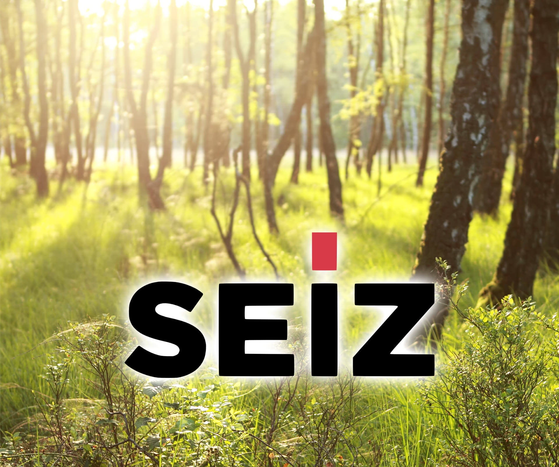 Seiz