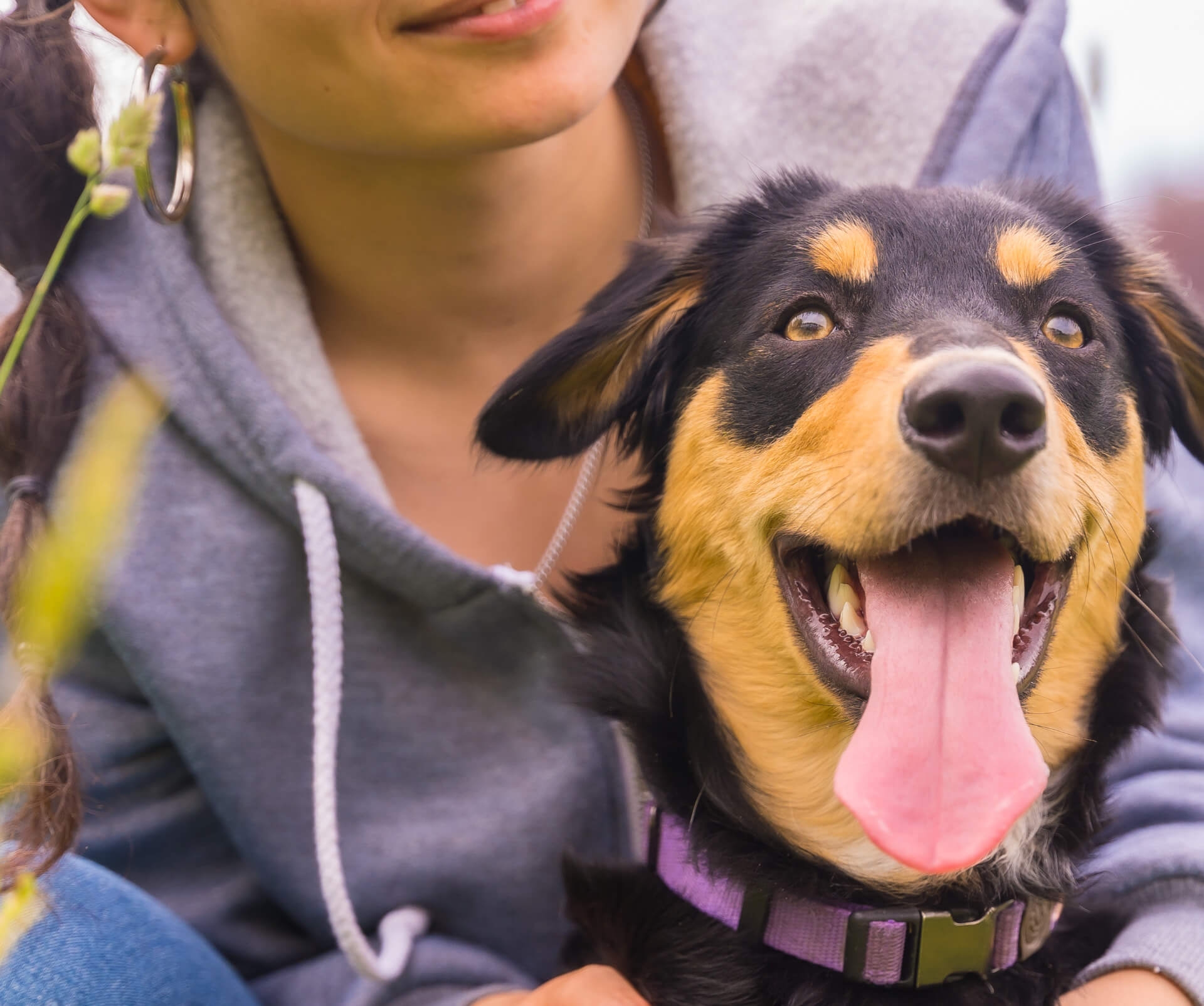 Hundesport Oberbekleidung