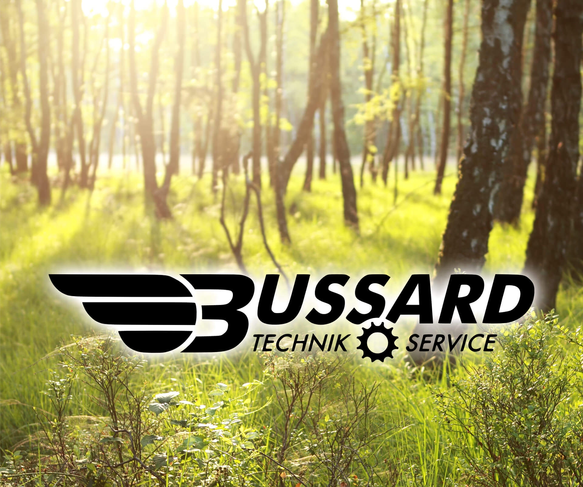 Bussard