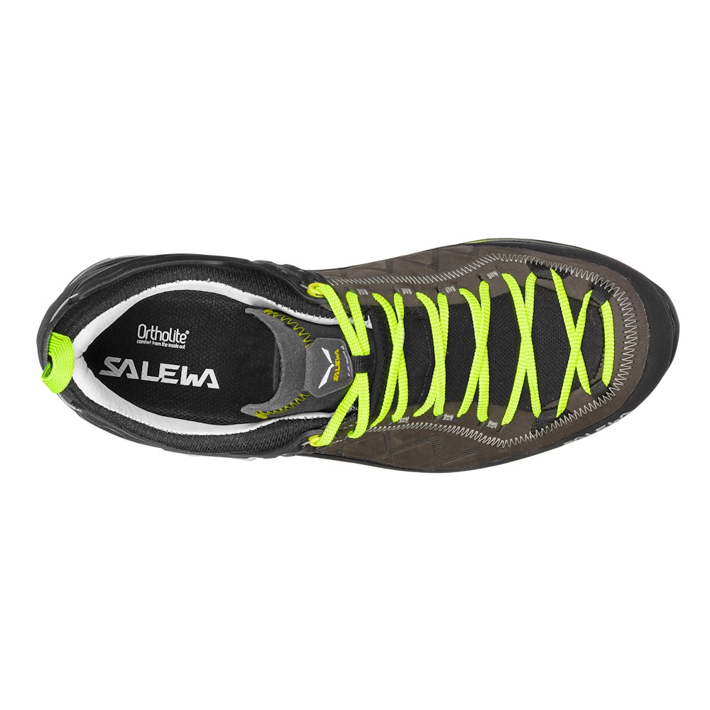 Salewa MS MTN Trainer 2 GTX